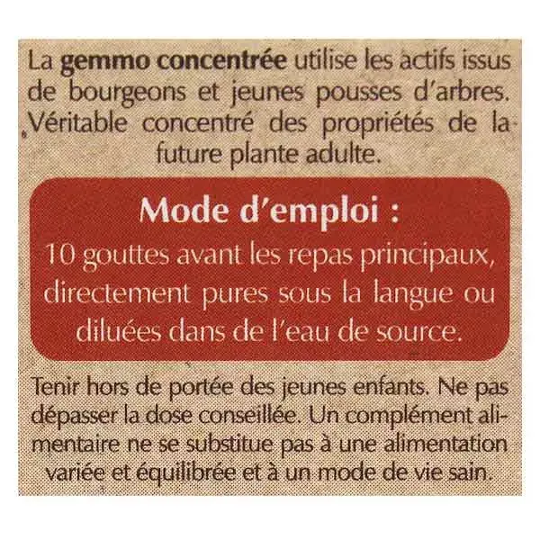 Herbalgem Cholestegem Complexo de Gemoterapia Orgânica para Colesterol 30ml