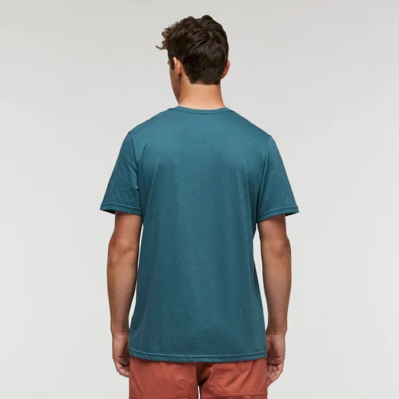 Llama Greetings Organic T-Shirt - T-shirt homme