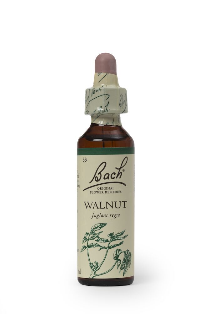 Bach Walnut
