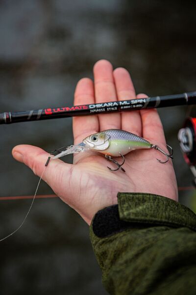 Ultimate DZ-Diver 6cm (11g)