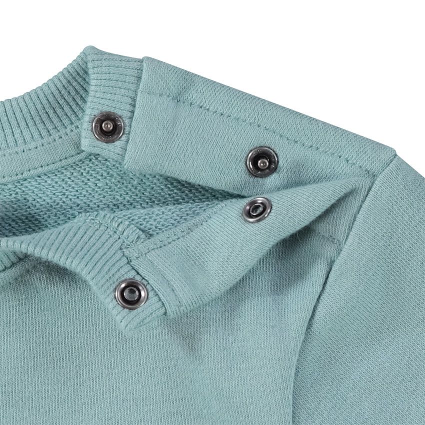 Ensemble jogging molleton print zèbre pour bébé garçon - Vert