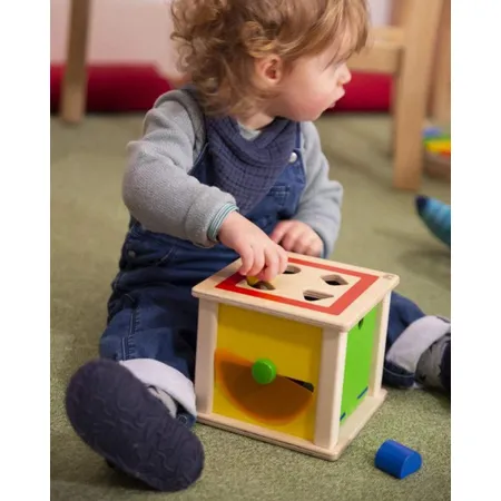 Selecta Varianto Sortierbox, 15 cm