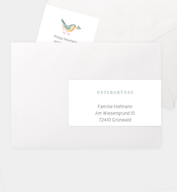 Adressaufkleber Birdy, Kombi-Adressaufkleber (160 x 50mm)