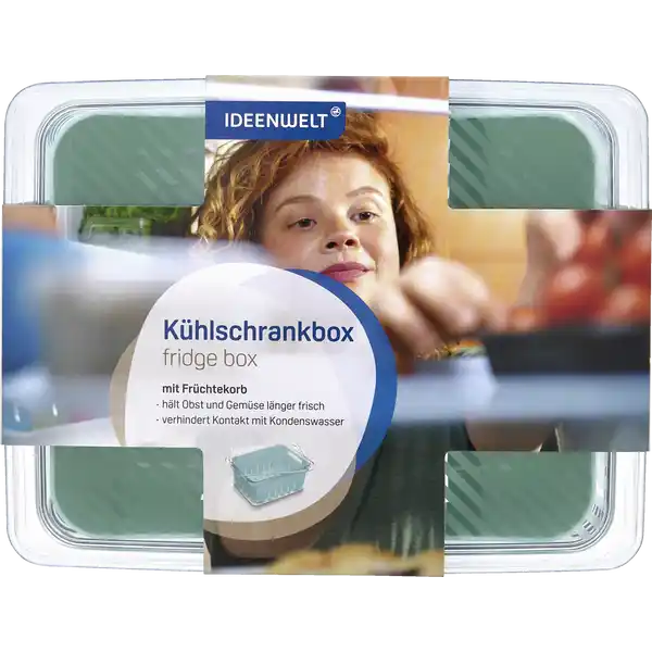 Kühlschrankbox mit Einsatz