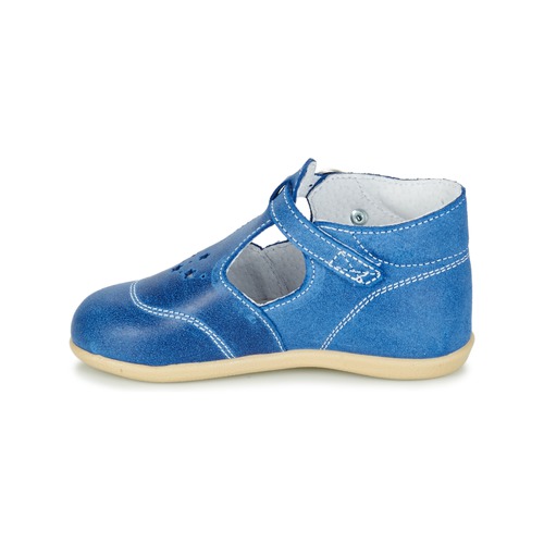 Citrouille et Compagnie - GODOLO - Bleu