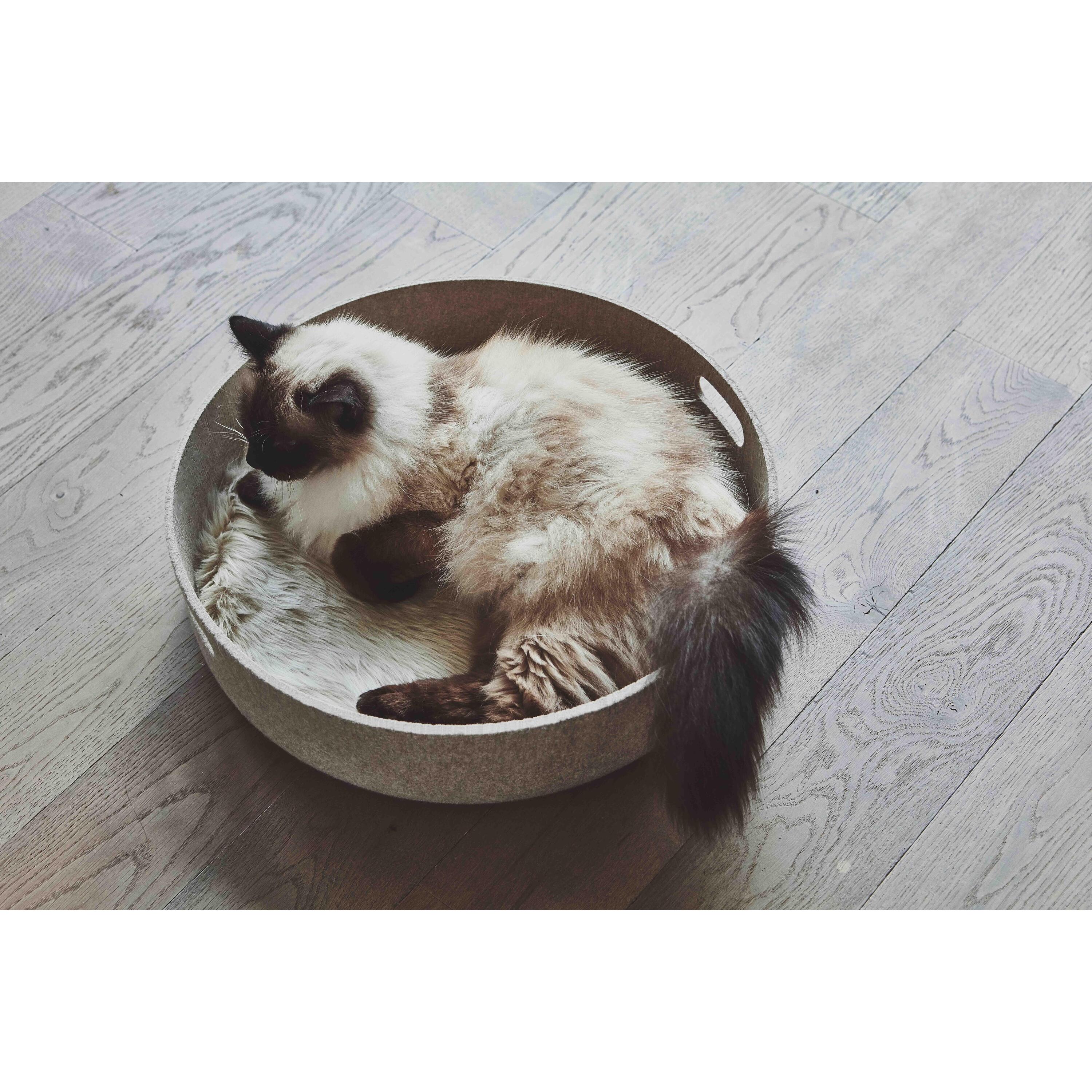 Cesto kattenmand Ã46 nougat