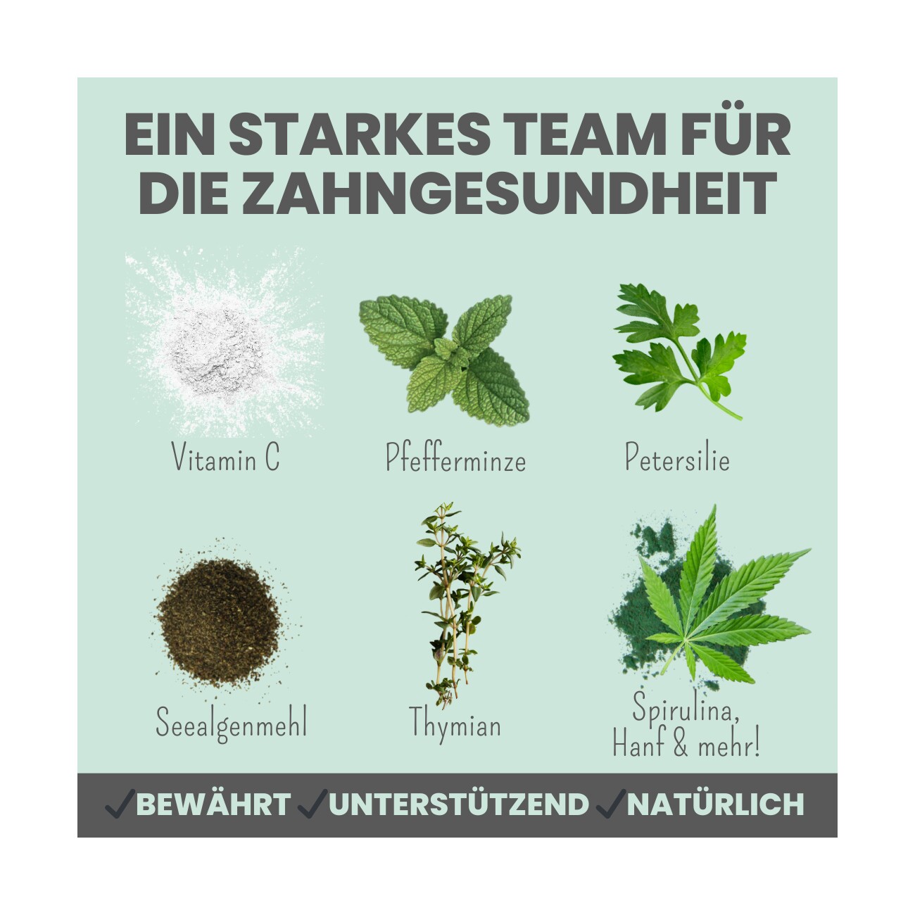 noms+ Dentalmix für Hunde zur Zahnpflege und für frischen Atem 150g
