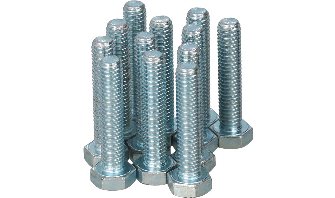 Bolte M6x30 mm - 12 stk.