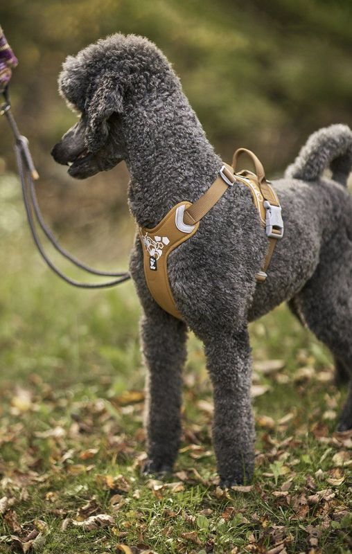 Hurtta Hondentuig Weekend Warrior Harness voor Honden Kleur: Desert Borstomvang: