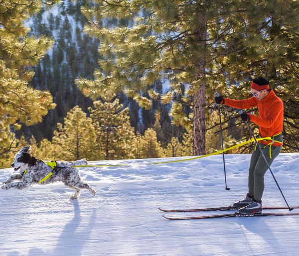 RUFFWEAR® Joring System Omnijore™
