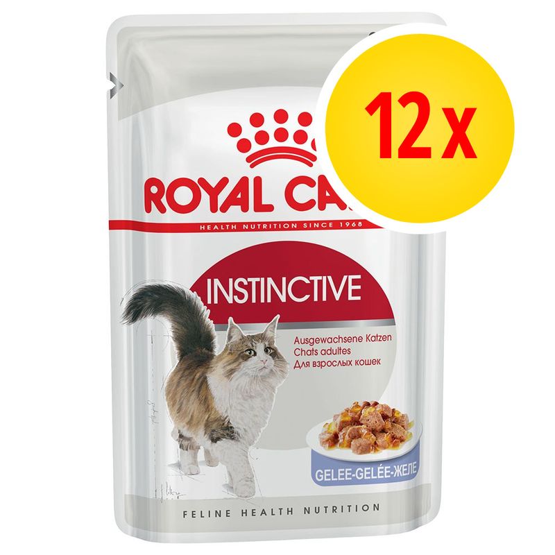 Royal Canin 12 x 85 g à prix discount sur bitiba.fr