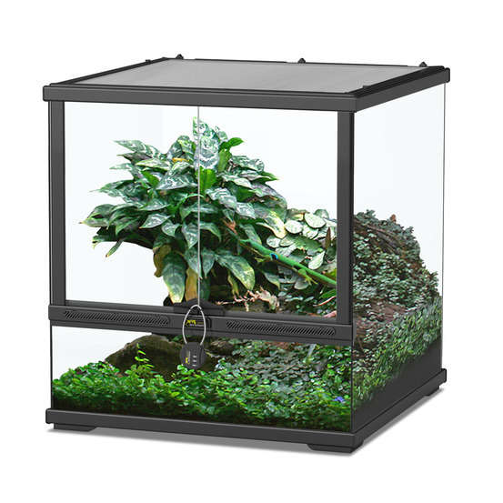 Terrarium smart line COR001 C/ CX