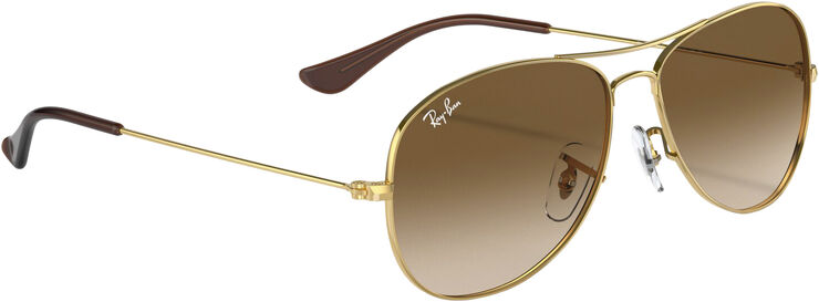 Ray-Ban COCKPIT Arista