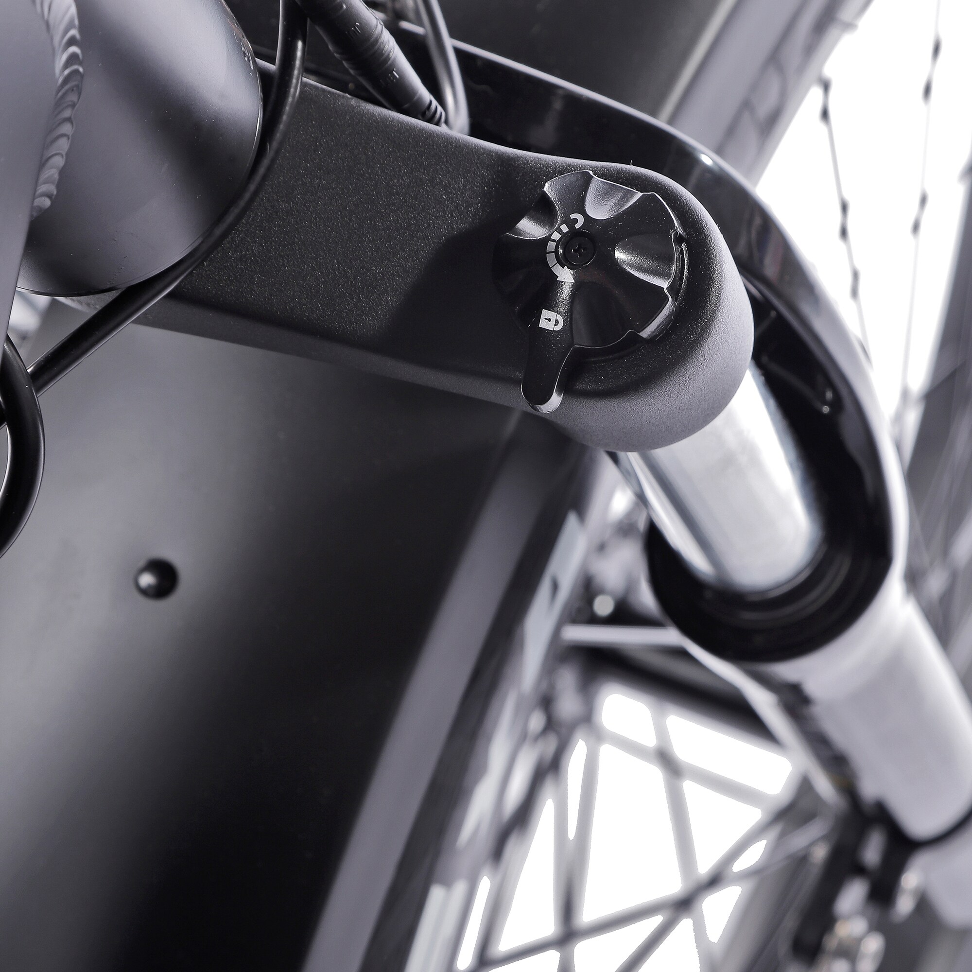 JOBOBIKE, Robin Hardtrail, Damen E-Bike 26 Zoll Fat-Reifen 250 W