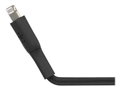 Belkin BoostCharge - Lightning-kabel - 24 pin USB-C han til Lightning han - 1 m - sort - USB Power Delivery (18 W)