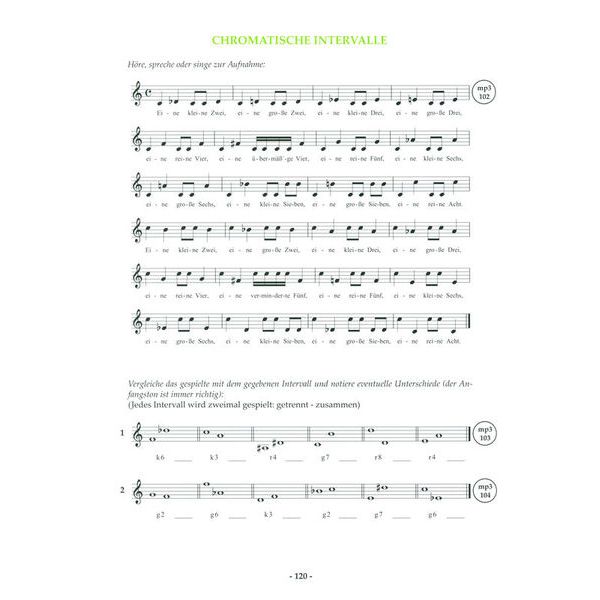 Musikverlag Heinlein Theorie D2/D3 CD Edition