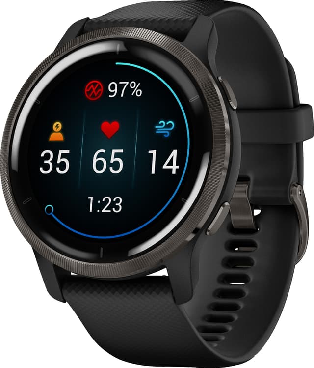 Garmin Venu 2 GPS smartwatch (black slate)