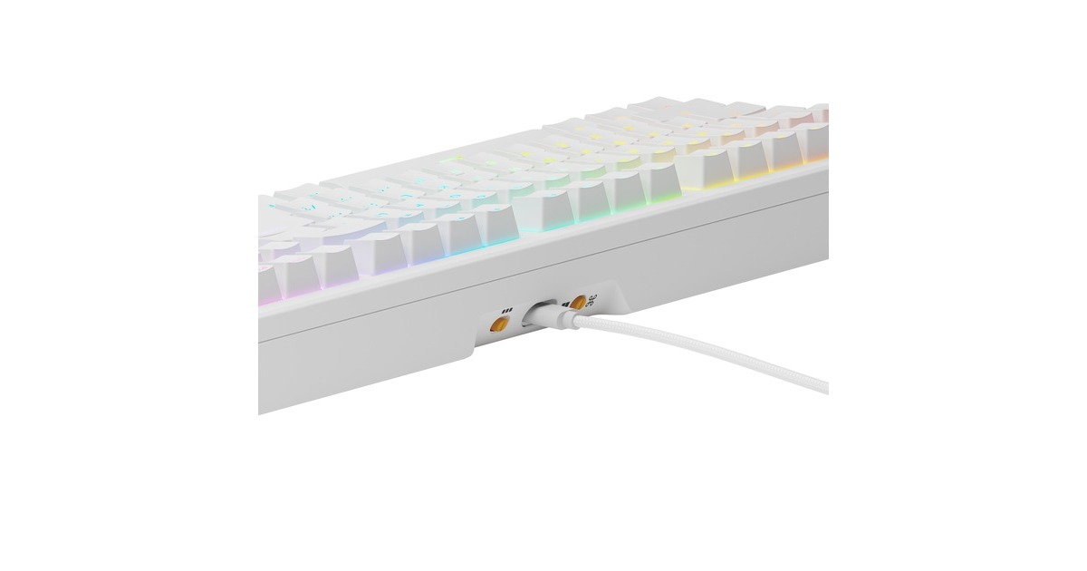 GloriousGMMK 3 100% Prebuilt Wired White, gaming toetsenbord  (Wit, US lay-out, Glorious Fox, 100%, RGB, GPBT-doubleshot keycaps, Knob)