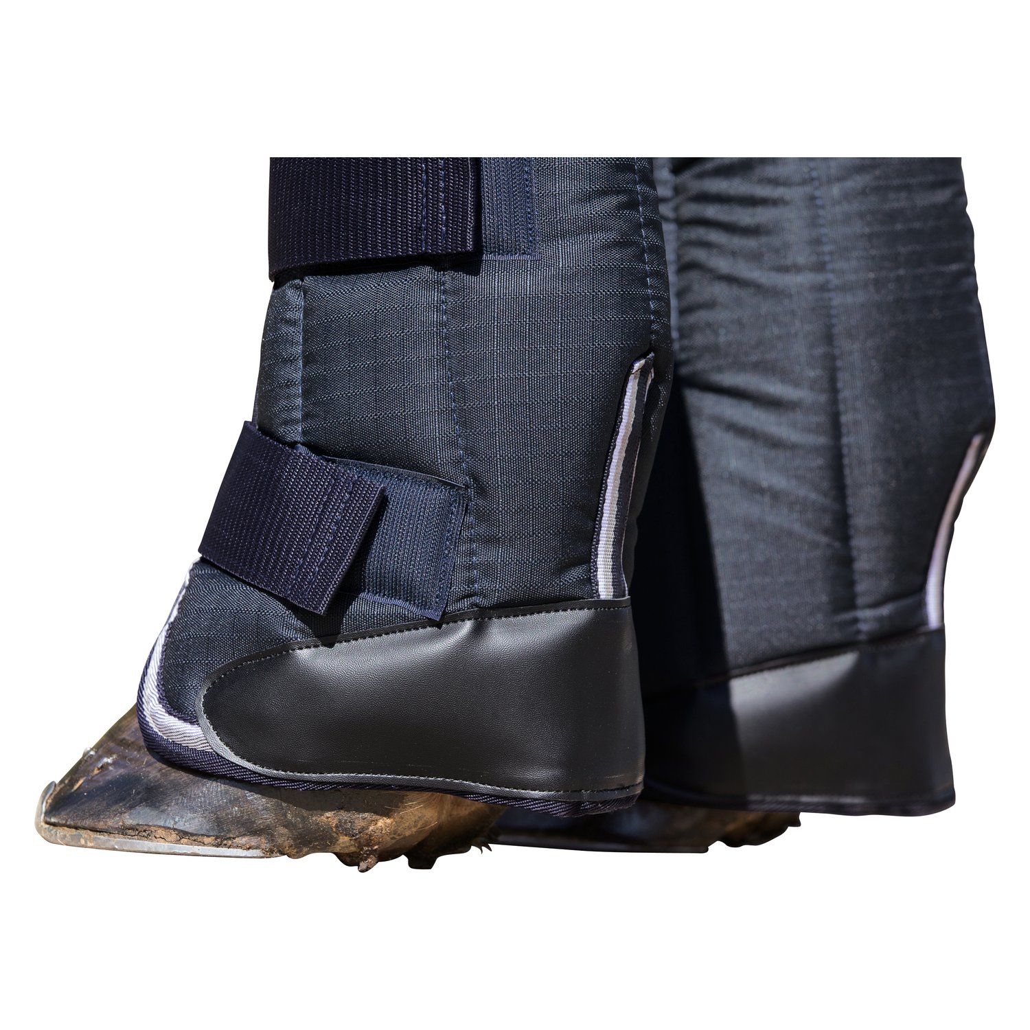 PROTECT by Horse-Friends Transportgamaschen Premium  - navy