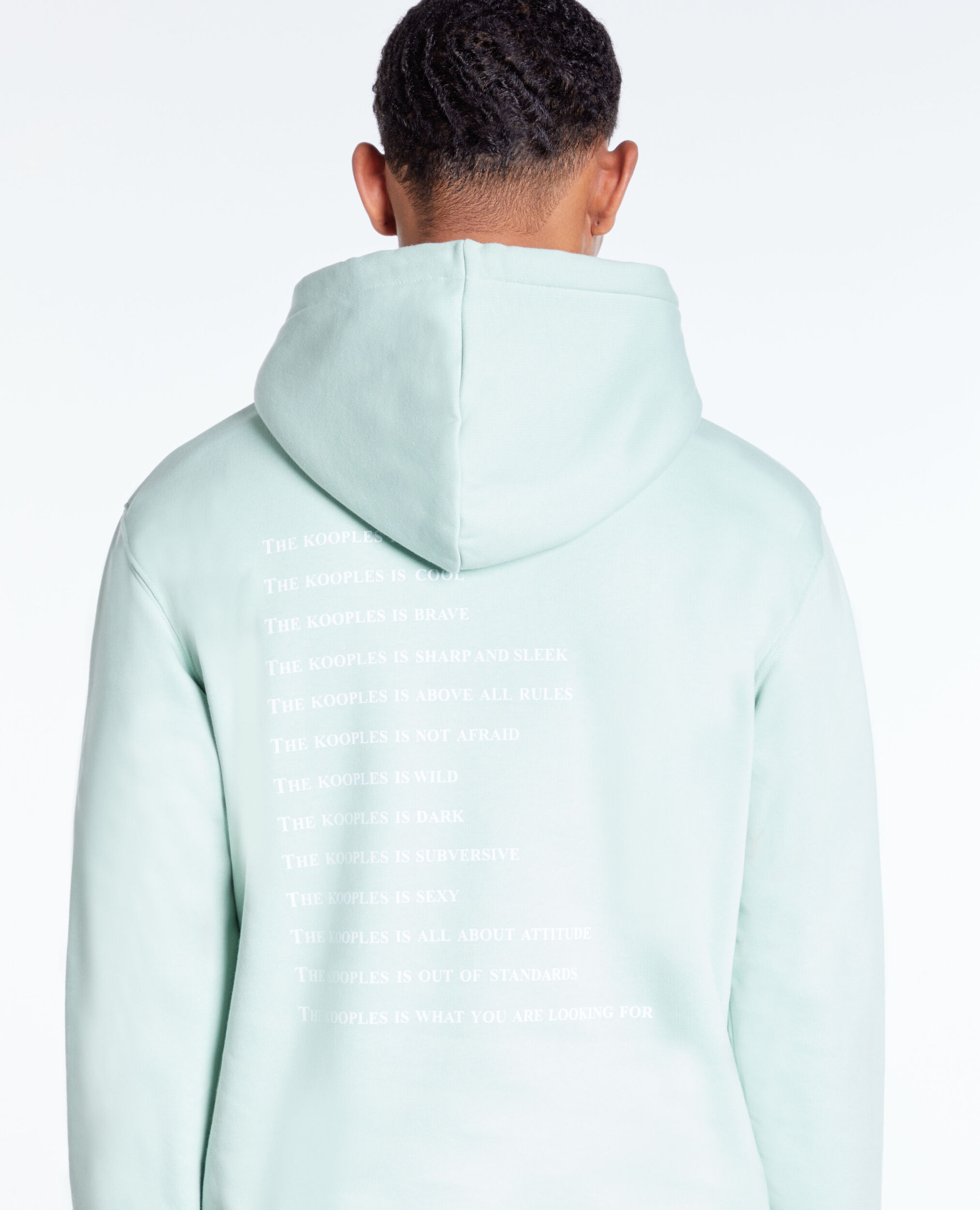 Sweatshirt à capuche What is vert