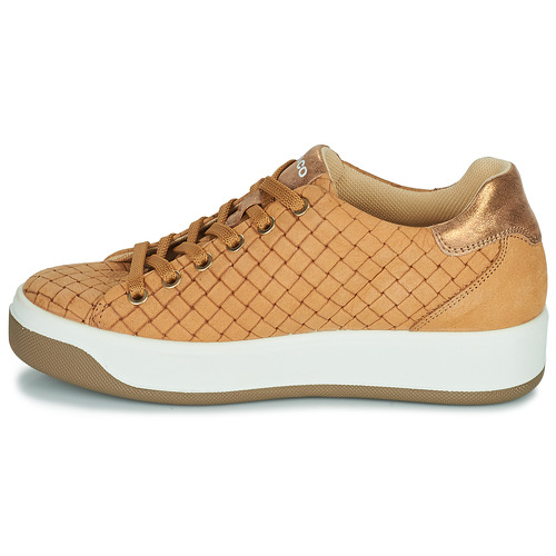 IgI&CO - 1659033 - Camel