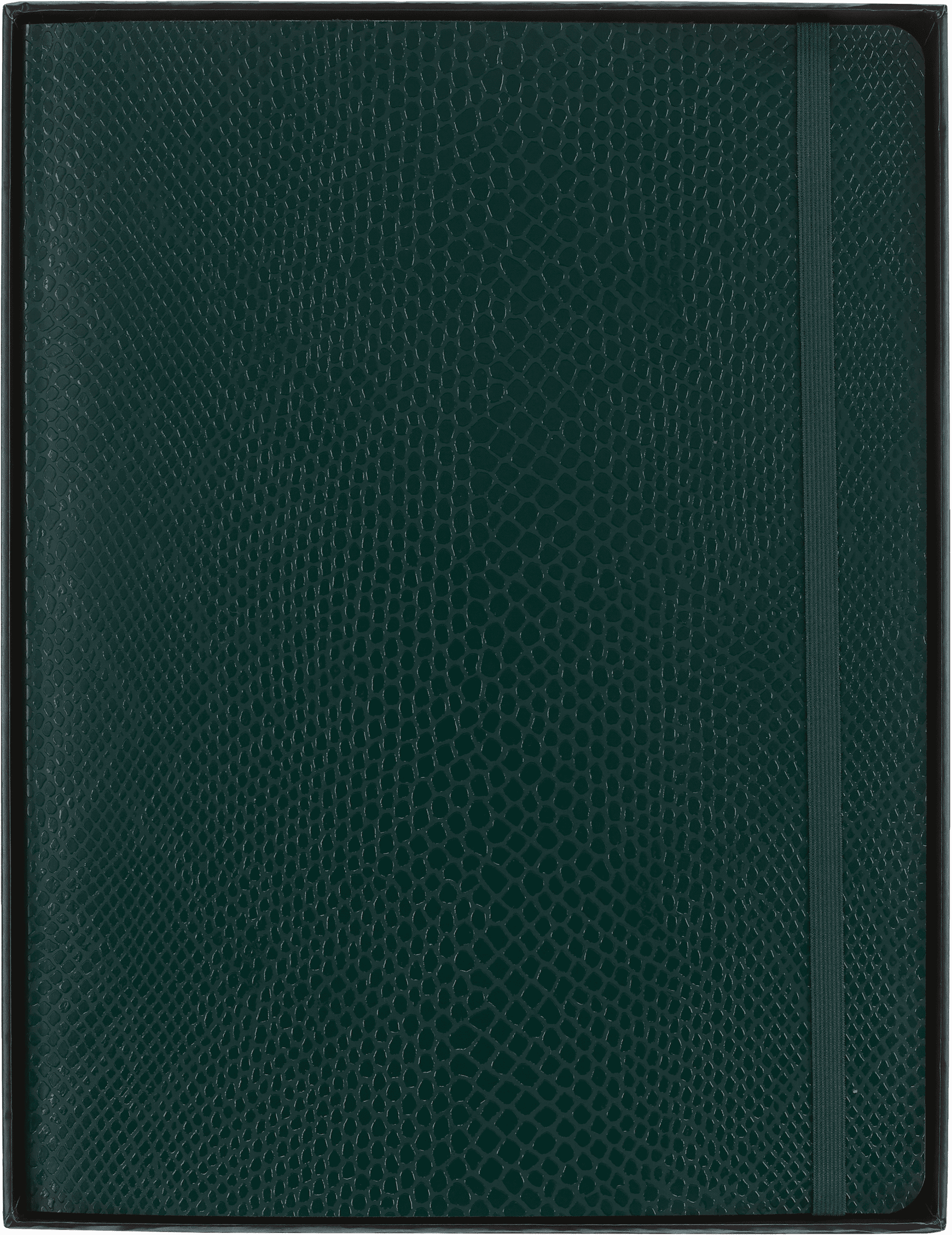 Precious & Ethical Notebook Vegan Soft Cover, Python-effect, Ruled