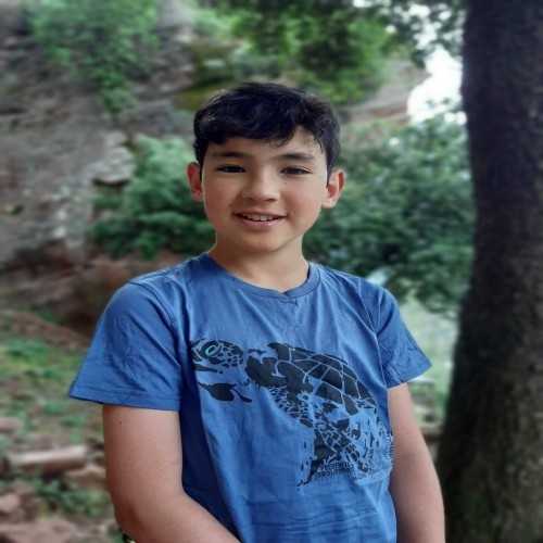 Camiseta com estampa de totem animal para meninos/meninas, tartaruga azul
