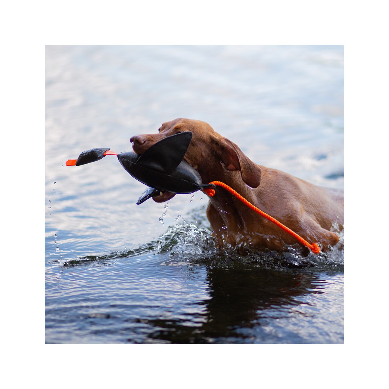 ROMNEYS Duck Dummy Entendummy Nylon 400g