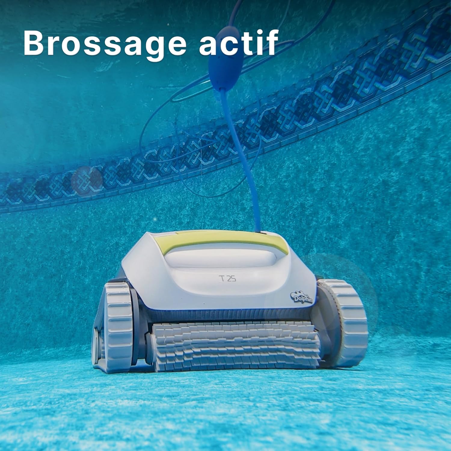 Dolphin T25 Robot Nettoyeur électrique avec Fil pour Piscine Hors-Sol Jusqu’à 10 m - Nettoyage Fond et parois - Système de Scan Intelligent