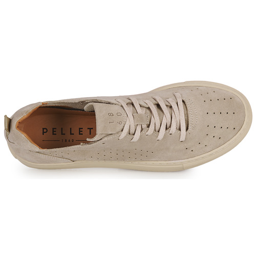 Pellet - SANDRON - Velours craie