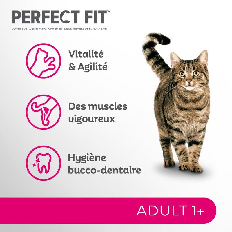 Perfect Fit Sterilisé Adult 1+ Riche en bœuf
