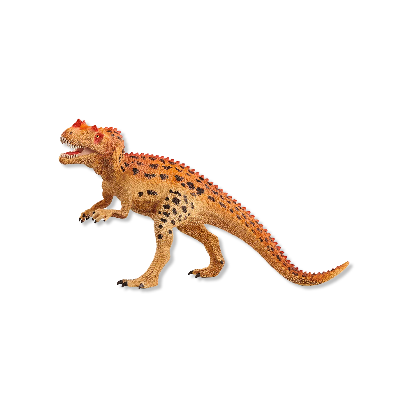 Ceratosaurus dyr & figurer