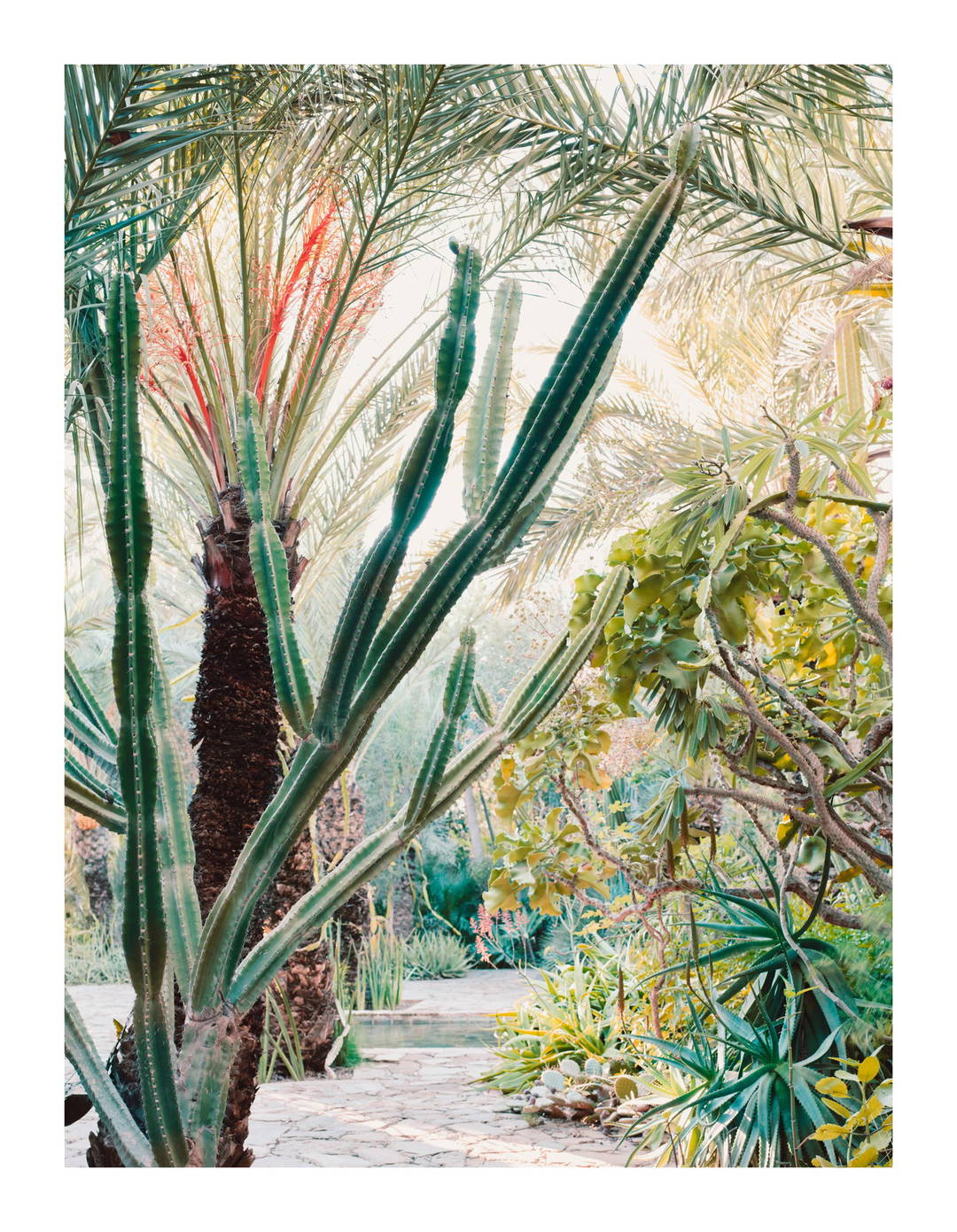 Dar al Hossoun by Simon Watson - Limited Edition. Edition of: 150. Signed.