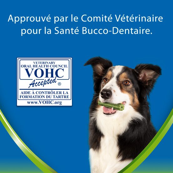 Dentalife ActivFresh Medium -Hygiène bucco-dentaire 115g - 5 Bâtonnets