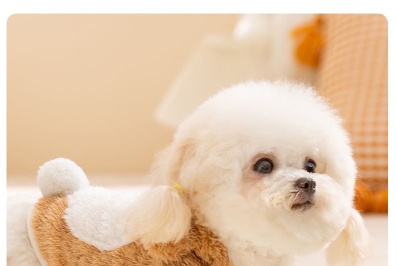 2 nachten - Bear Chenille Pet Top