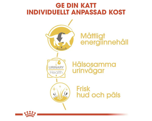 ROYAL CANIN Britse Korthaar natvoer voor katten 85g