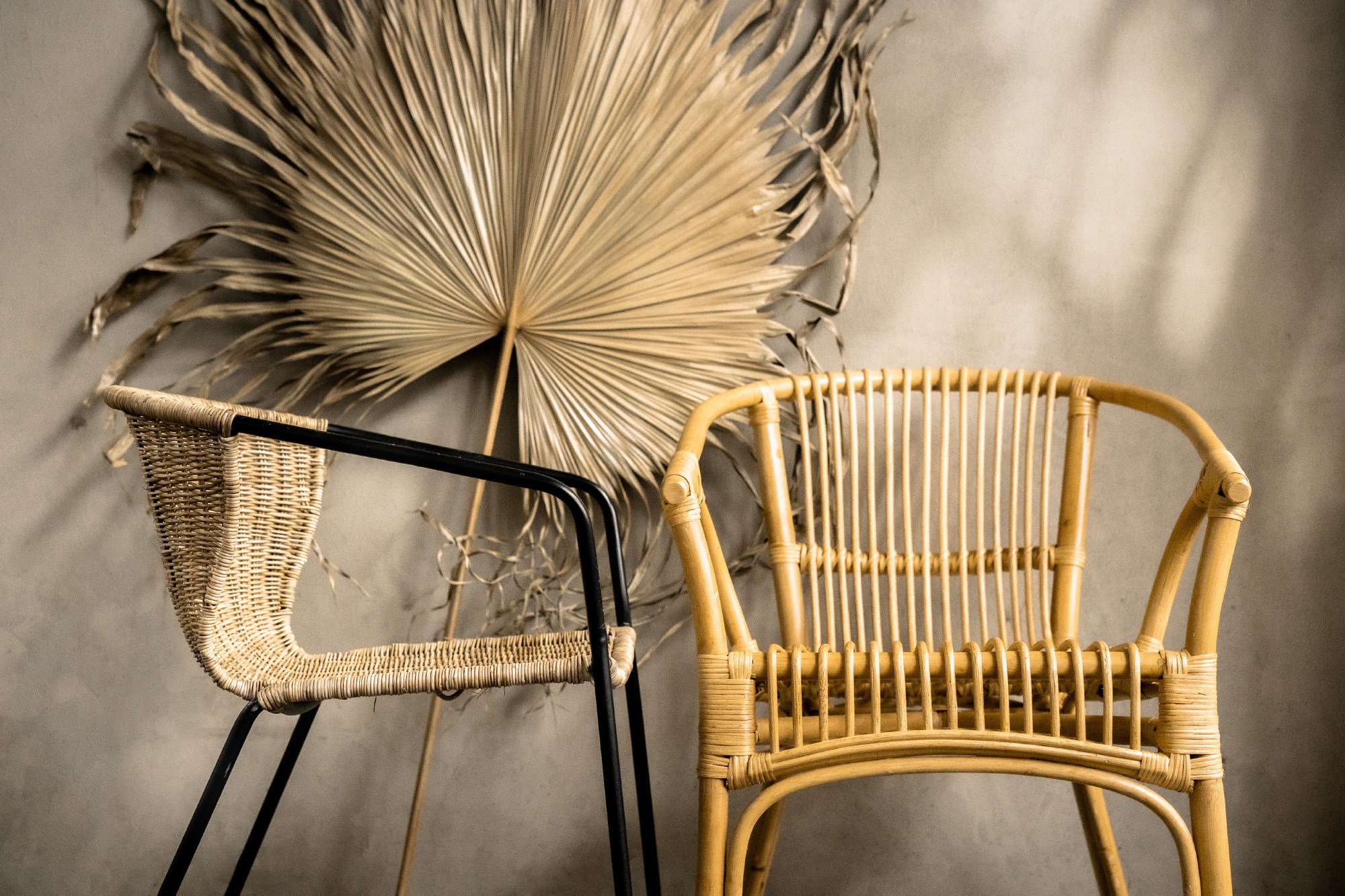 Rund-Lehnstuhl 'Trendton', Rattan natur, B 57 cm, H 76 cm, L 61 cm von fischer's lagerhaus