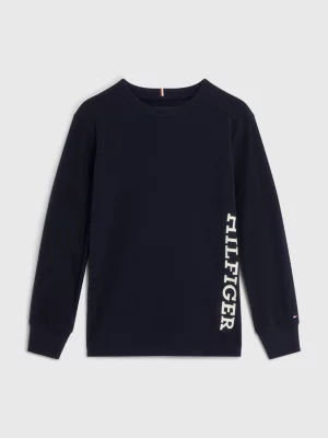 Camiseta de manga comprida Hilfiger Monotype