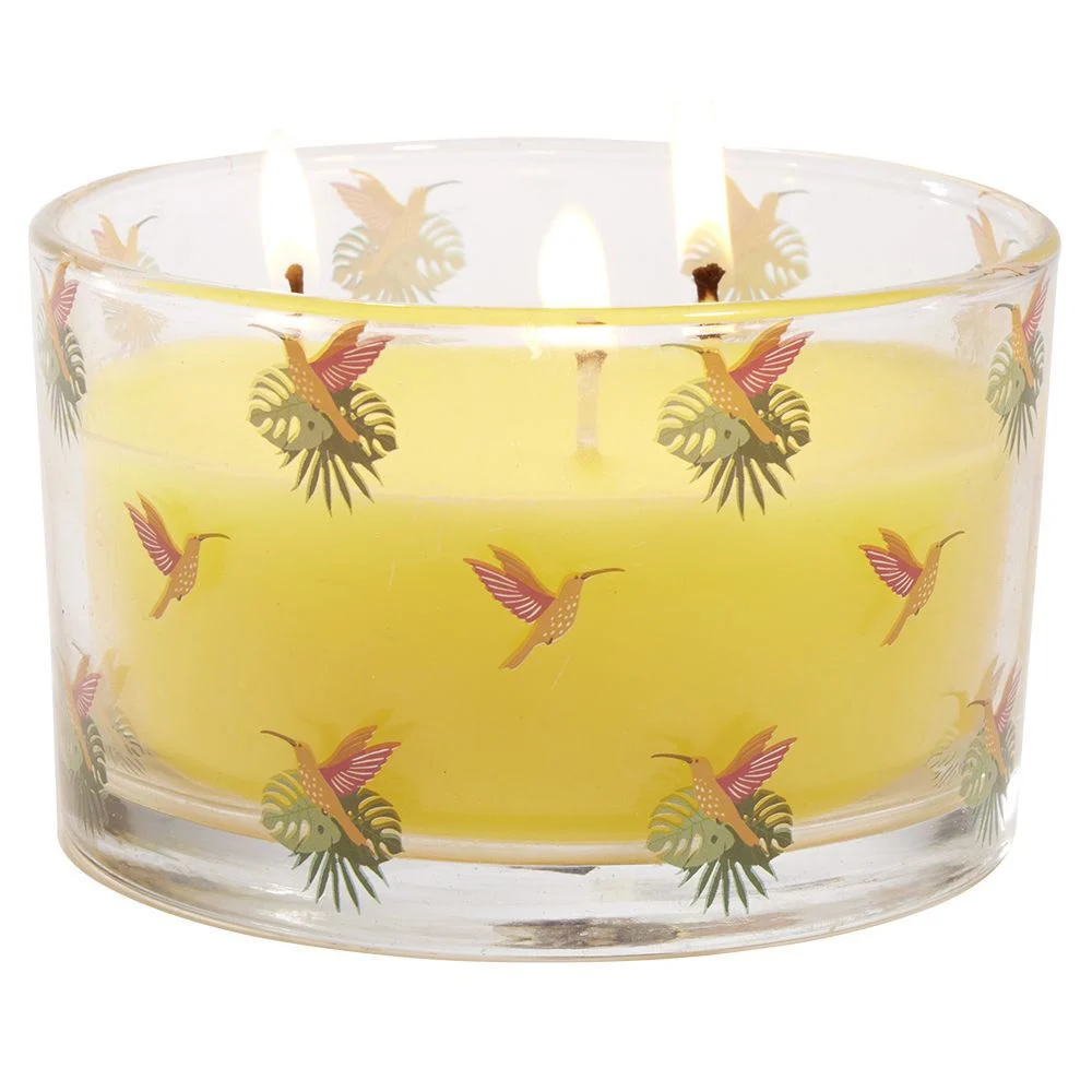 Bougie citronnelle pot en verre motif tropical 30H - Ø13xH8cm