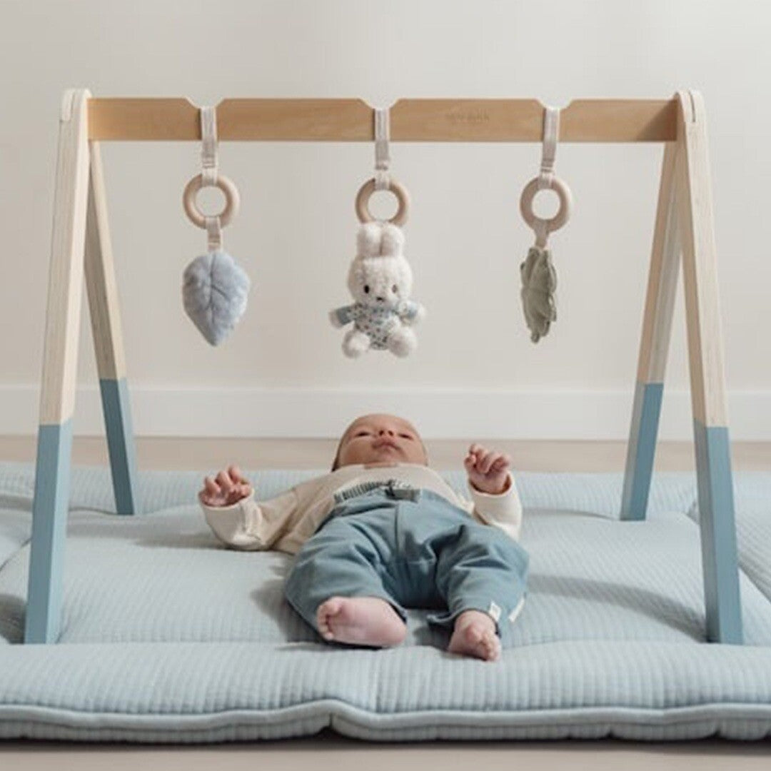 Little dutch babygym en speeltjes lucky leaves