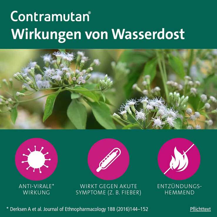 Contramutan® Tabletten, 100 St