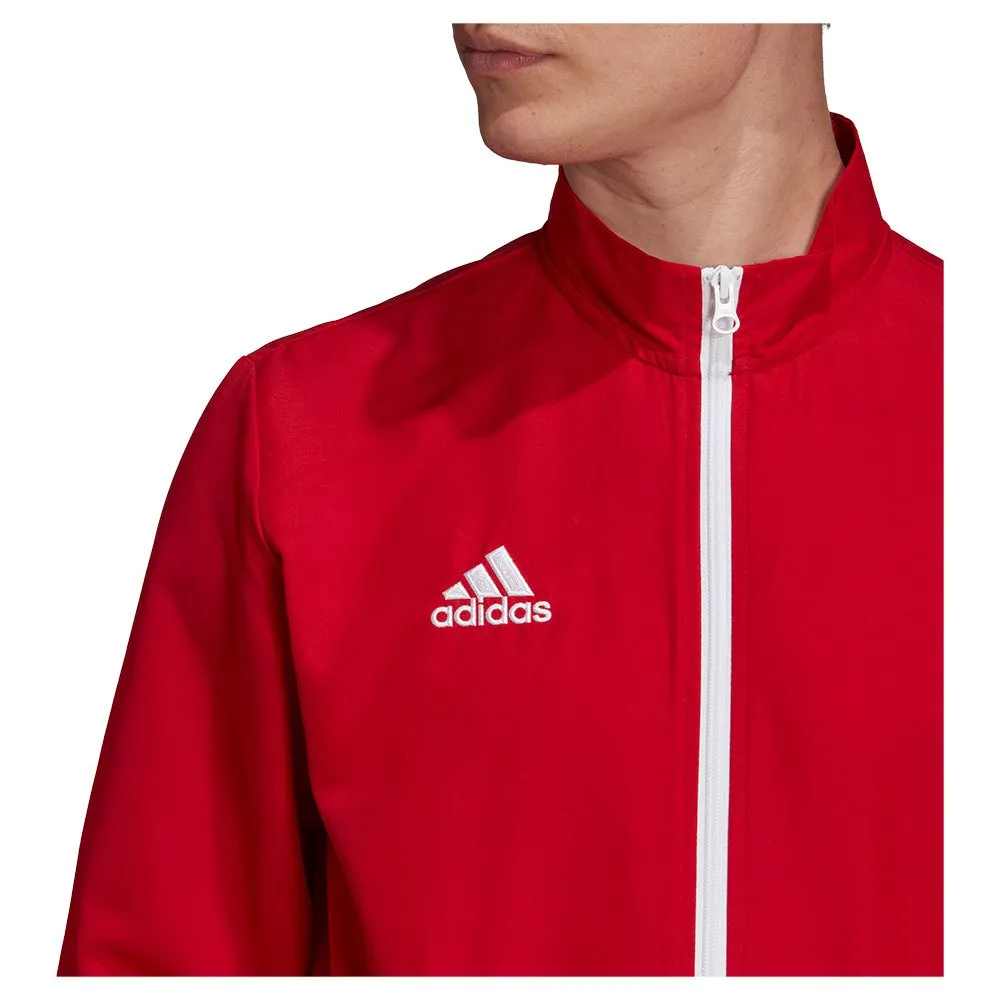 jaqueta adidas Entrada 22