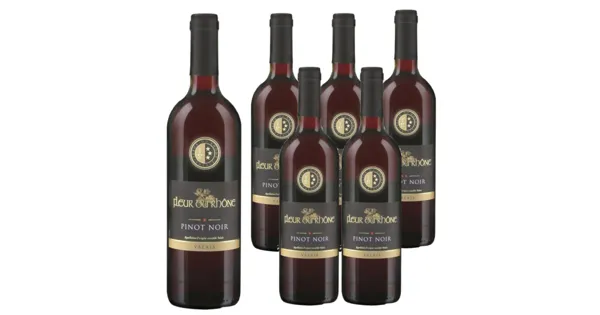 Valais AOC Pinot Noir Fleur du Rhône 6x 75cl (2023) – Rotwein, Schweiz (0.75l)