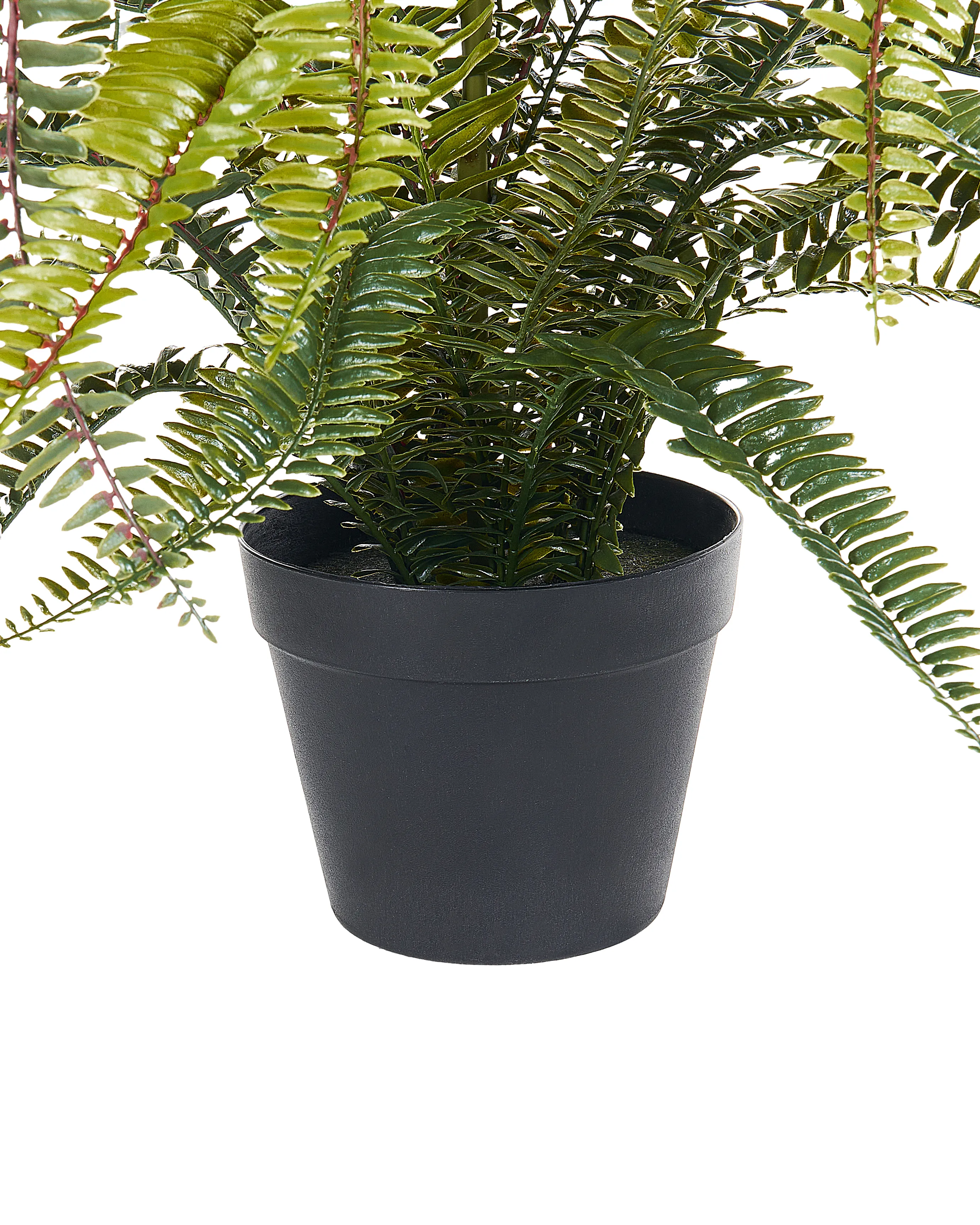 Kunstplant FERN LEAF PLANT 105 cm Groen