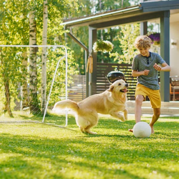 Fotballmål i hvitt stål