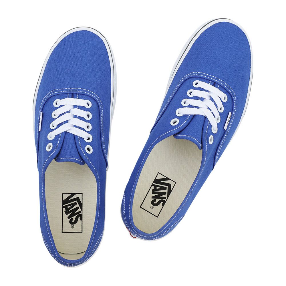 Vans AUTHENTIC - Sneakers color theory dazzling blue