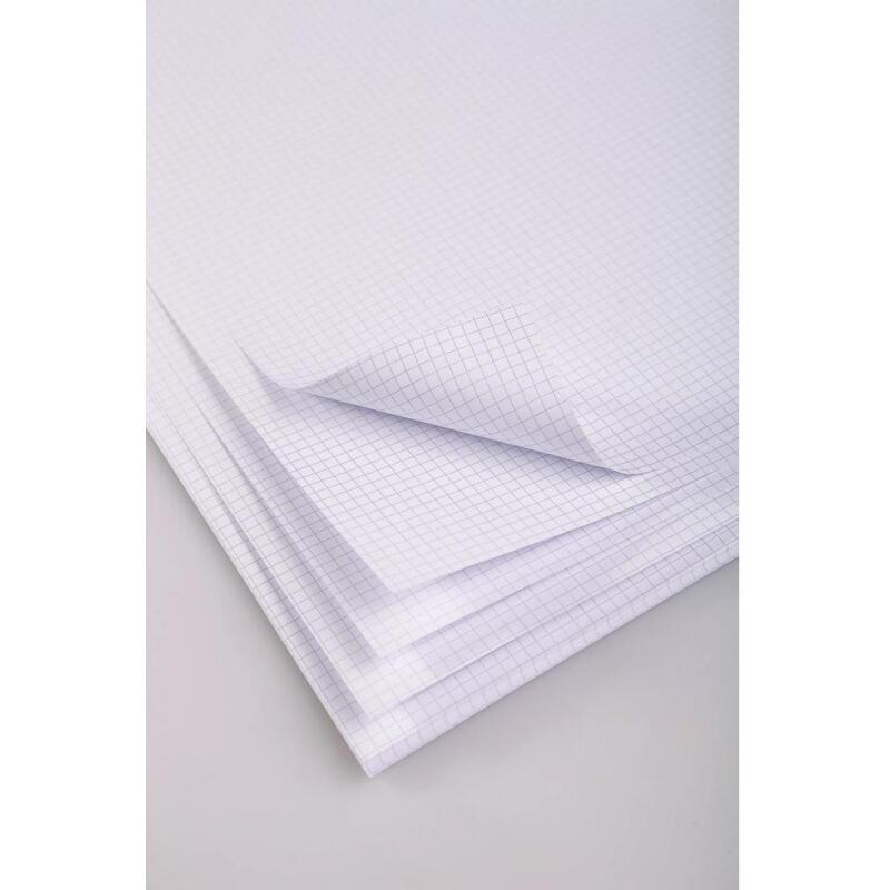 Bristol rame 25F 50x65cm 320g feuilles quadrillées 5/5