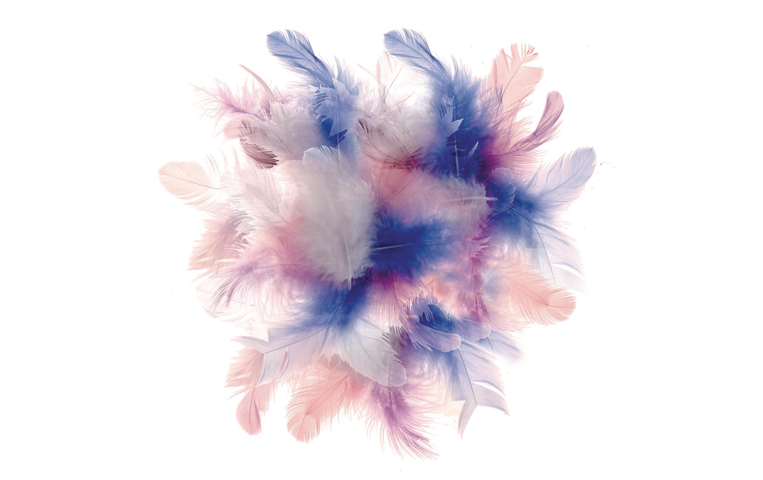 Federn Deco Blau/Pink/WeissBastelfedern, Pastell-Mix