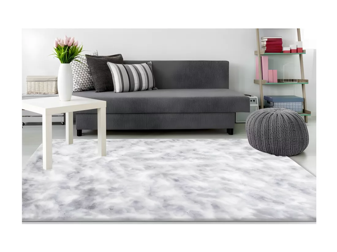 Tapis 230x160cm, design B005O coloris gris - Confort et élégance pour votre intérieur