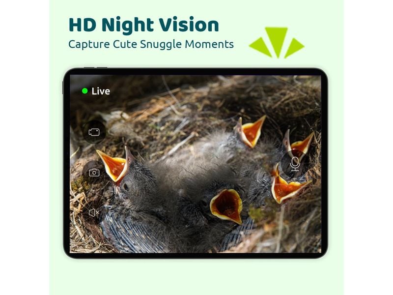 Birdfy Vogelhaus Nistkasten mit Kamera und Solar Vogelhaus mit 1080P HD-Kamera Live-Ansicht